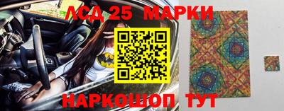 шишки Камышлов