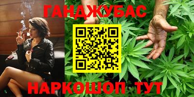 шишки Камышлов