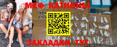 шишки Камышлов