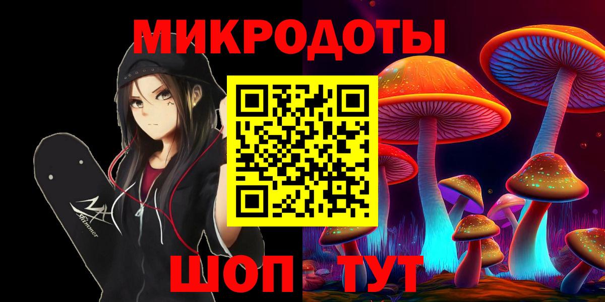 Псилоцибиновые грибы Psilocybine cubensis Крымск
