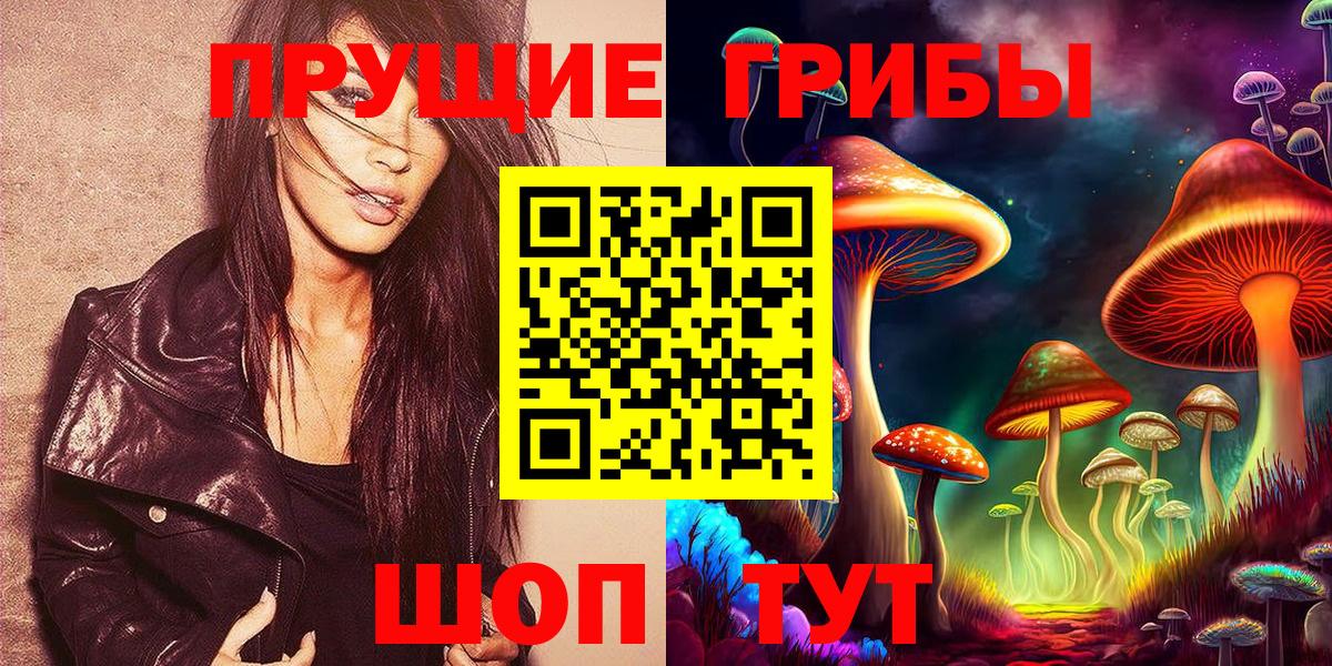 Крымск  Псилоцибиновые грибы Psilocybine cubensis  Вход с VPN 